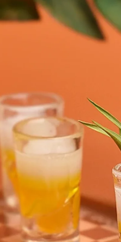 10개 미니어처 장난감 주방 맥주 컵 액세서리 음료 모 - Wine Beer House 리뷰 및 가격